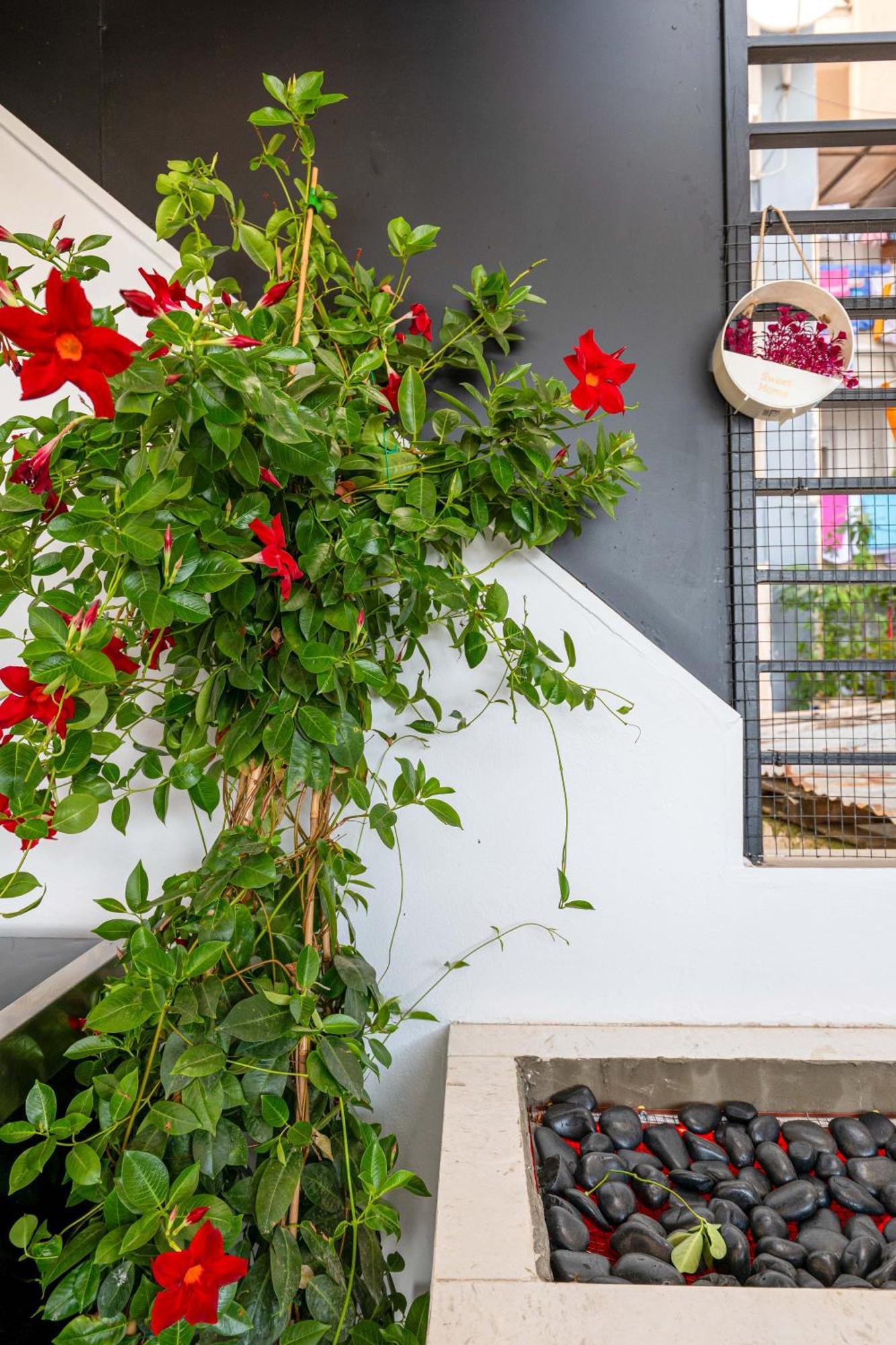 Mato Luxury Apartments Sarande Exterior photo